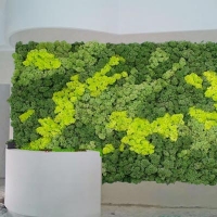 ARREDO NATURA - complementi d'arredo, pareti vegetali stabilizzate, angoli di natura