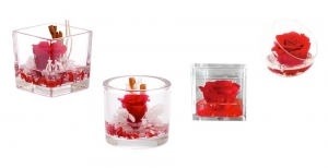 Rose Stabilizzate: cura e manutenzione